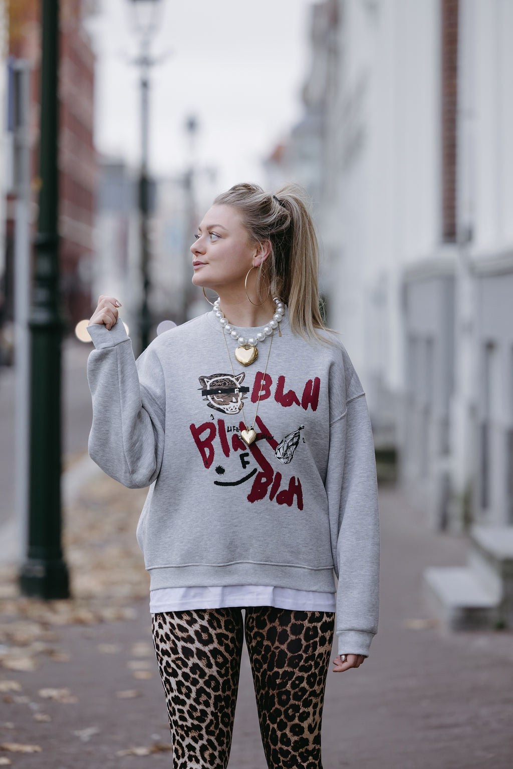 LIZET TIGER GRIJZE TRUI