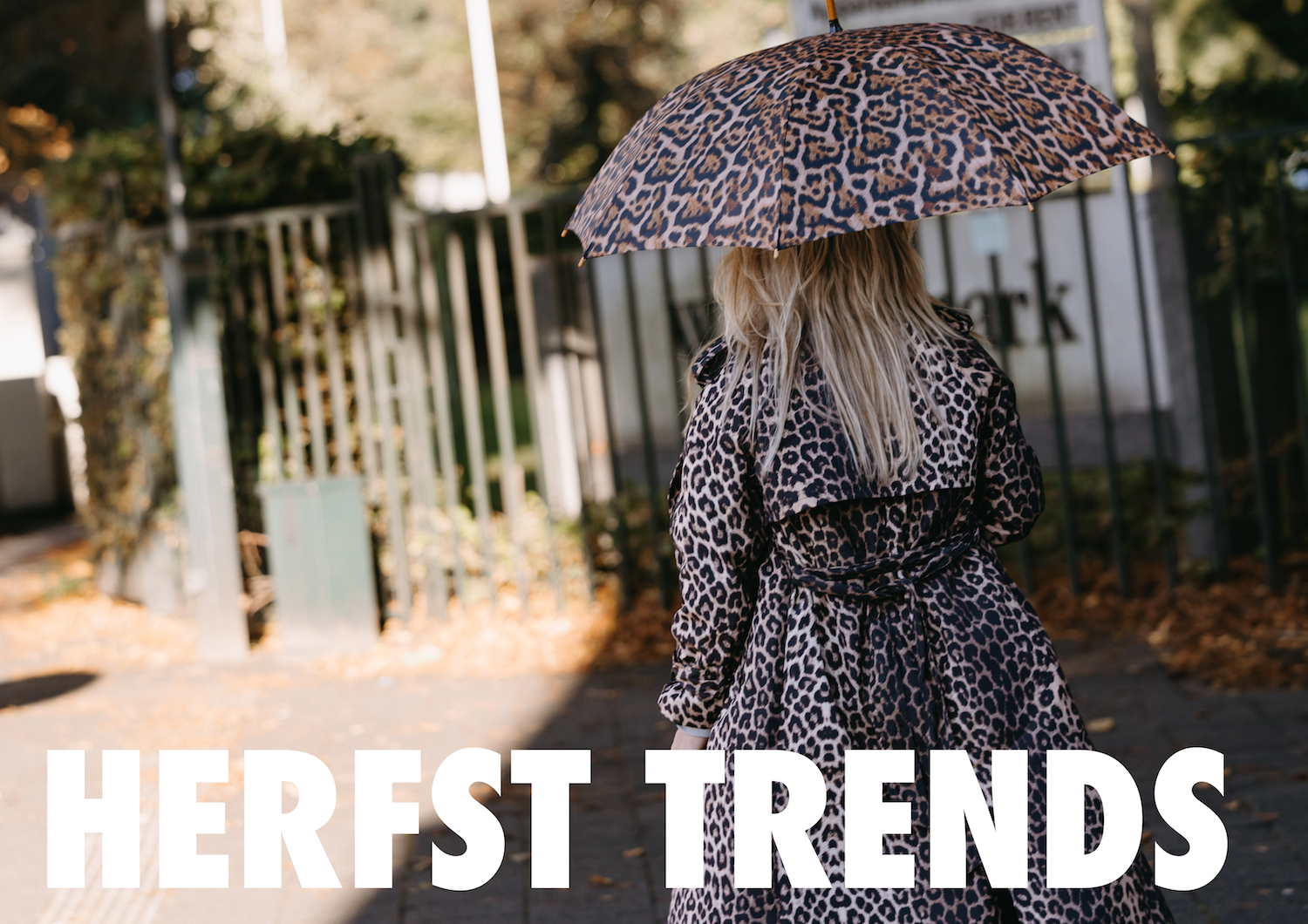 HERFST TRENDS