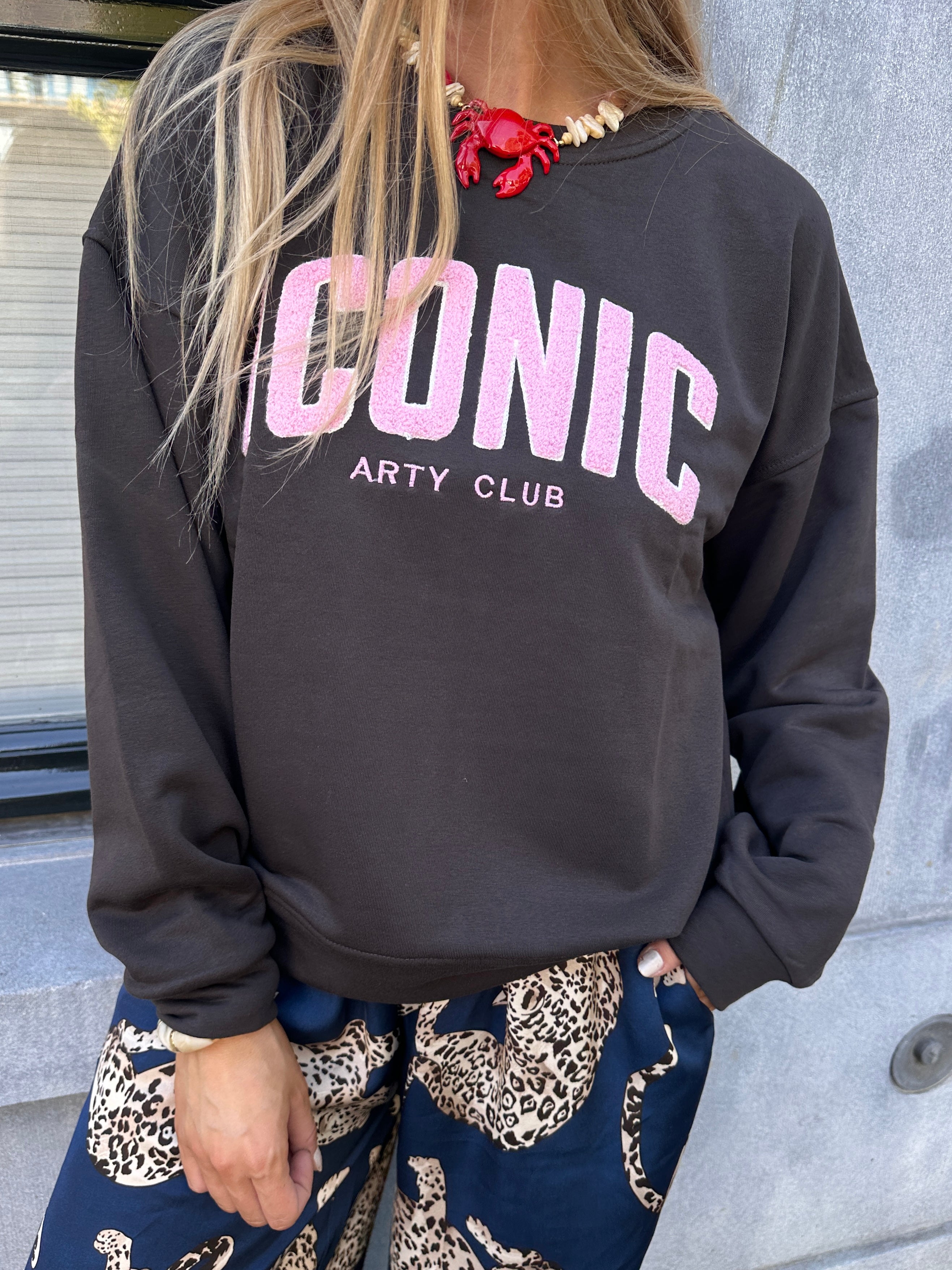 ROBINE SWEATER ICONIC CHOCO
