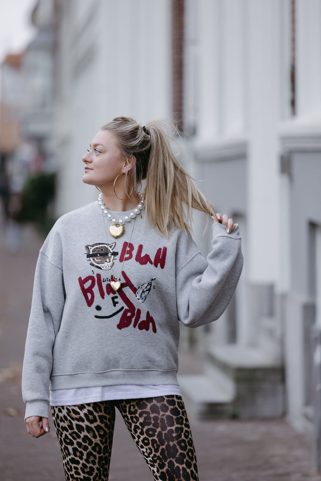 LIZET TIGER GRIJZE TRUI